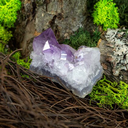 Fairies energy amethysts