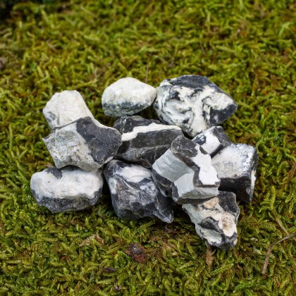 Fairy spirals pendant sea stone