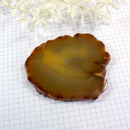 Chakra set Agate Slices "Power"