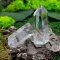 Fairies crystal tips