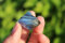 Andara Kristall Multicolour Swirl 12,90 g