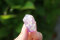 Andara Crystal Lavender Aszendent purple 11,80g
